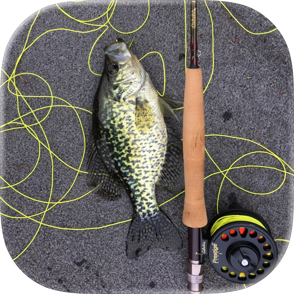 Fish and Fishing App