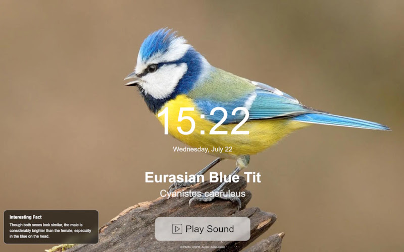 Birds Of Europe Chrome Extension